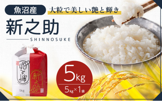 令和６年産 新潟 魚沼産 新之助 ５kg 白米 高品質 楽天市場】【新潟米 令和6年産】魚沼産 新之助 白米 5kg (5kg×1