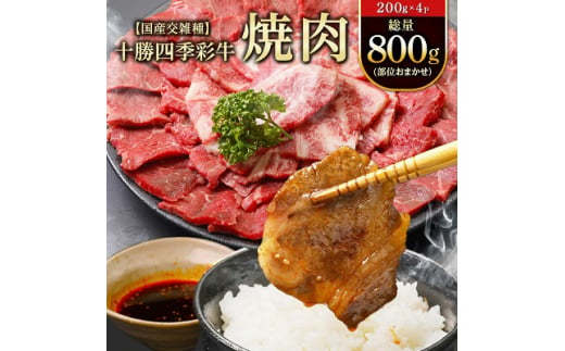 十勝四季彩牛焼肉(部位おまかせ)総量800g(200g×4P)＜国産交雑種＞【1211792】 - 北海道帯広市｜ふるさとチョイス - ふるさと納税 サイト