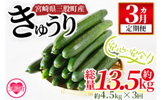 ＜【先行予約】【期間限定】宮崎県産きゅうり(約2kg)＞(約2kg・3本入り×5袋)パリッと甘い魔法のキュウリ「マジキュー」漬物や天ぷらに！【mi149】【ゆたか農園】  - 宮崎県三股町｜ふるさとチョイス - ふるさと納税サイト