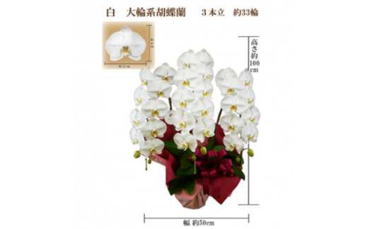y{z䋟@Ӓ@3{@33ց@bsOJ[y1258099z