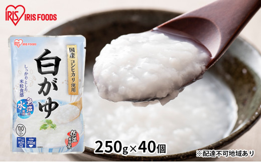 y{錧͌zyhЁz 250g×40 ACXI[} gg k ЊQ 펞  ~  ΍ XgbN H ̒s Hו ቷ@ Y RVqJ 퉷ۑ 