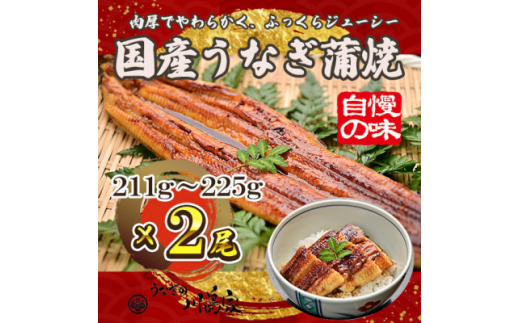y{zⓀ2̖@Ȃ̐쓇Ɓ@YȂā@TCY(211g`225g)^ty1488340z