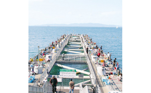 岬町海釣り公園・とっとパーク小島利用券＜ファミリーセット＞【1267400】 - 大阪府岬町｜ふるさとチョイス - ふるさと納税サイト