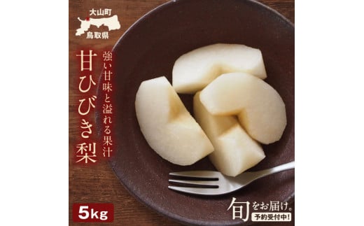 YN-08 甘ひびき梨 5kg - 鳥取県大山町｜ふるさとチョイス