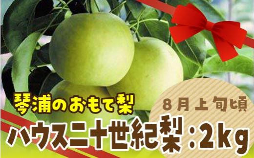 数量限定 鳥取県産梨 ハウス二十世紀梨 2kg（5～6玉） - 鳥取県琴浦町