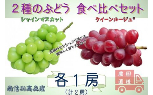 数量限定】2種のぶどう(シャインマスカット・クイーンルージュ(R))食べ