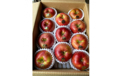 令和7年10月中旬頃発送開始＞青森りんご「葉取らずシナノスイート」約