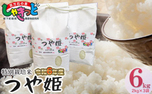 【令和6年産 新米】特別栽培米つや姫 6kg (2kg×3袋) 山形県鶴岡産 K-642 百万石の里しゃきっと - 山形県鶴岡市｜ふるさとチョイス -  ふるさと納税サイト