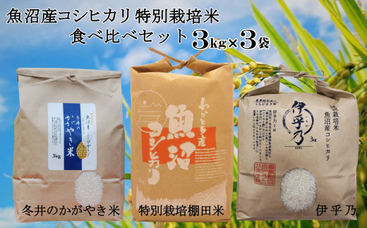 23P122 魚沼産コシヒカリ3ｋｇ３袋 特別栽培米食べ比べセット（うちが