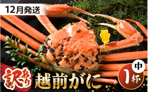 大容量紅ズアイ蟹1kg折れあり 大容量紅ズアイ蟹1kg折れあり 辛けれ