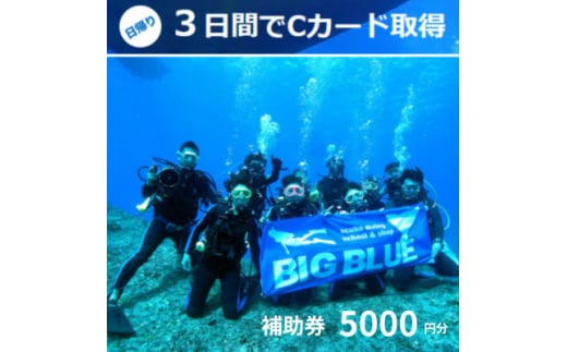 BIG BLUE スキューバダイビング PADI(Cカードライセンス) 免許取得補助券5,000円分【1489917】 -  大阪府高石市｜ふるさとチョイス - ふるさと納税サイト