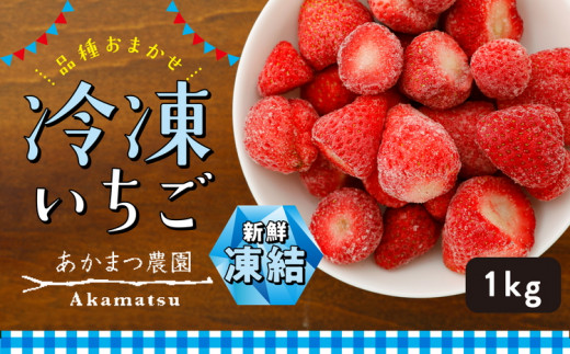 冷凍いちご 品種おまかせ 1kg あかまつ農園 ＜苺 いちご イチゴ 果物 フルーツ 農家直送 レッドパール 紅い雫 紅ほっぺ 冷凍 スムージー  ジャム お菓子づくり＞ - 愛媛県鬼北町｜ふるさとチョイス - ふるさと納税サイト