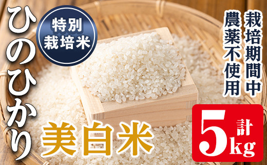 令和6年新米 広島県産 農薬不使用ヒノヒカリ 玄米30キロ