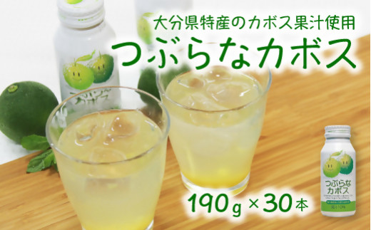 ジュース缶・つぶらなカボス】つぶらなカボス（190g×30本） | 缶
