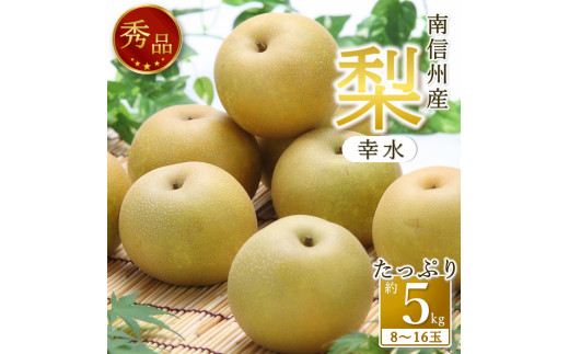ふるさと納税 　幸水　秀品約5kg（8玉〜16玉）＜8月中旬から順次発送＞ 長野県高森町