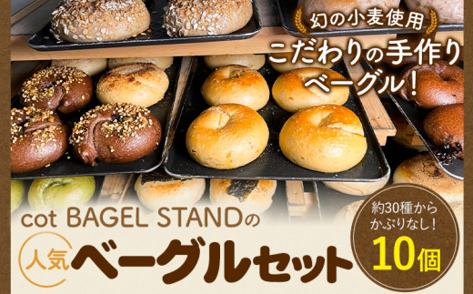 y{Hgszx[O lC x[O lߍ킹 10 Zbg cot BAGEL STANDs90ȓɏoח\(yj)t{ Hgs p  X匵I  ͂䂽 y؃p R