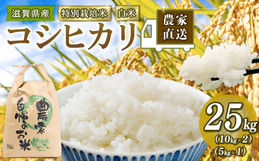 令和5年 米 25kg こしひかり 白米 特別栽培米 コシヒカリ ( 10kg ...