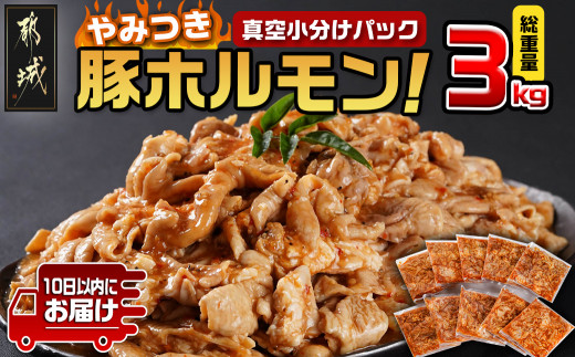 やみつき豚ホルモン!3kg!真空小分けパック!≪みやこんじょ特急便≫_LG8