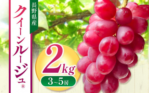 クイーンルージュ® 2kg (3～5房）| 先行 予約 ぶどう 葡萄 希少 品種 赤系 ブドウ 種無し フルーツ 特産品 千曲市 長野県 人気  くだもの おやつ ながの ちくま