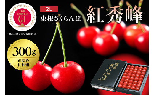 2025年 GI東根さくらんぼ 紅秀峰 300g鏡詰め(2L) 東根農産センター提供 hi027-177-1 - 山形県東根市｜ふるさとチョイス -  ふるさと納税サイト