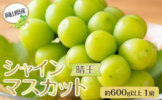 岡山県産 ぶどう 2024年 先行予約 シャインマスカット 晴王 600g以上 1房 種無し ブドウ 葡萄 フルーツ 果物 ギフト -  岡山県岡山市｜ふるさとチョイス - ふるさと納税サイト