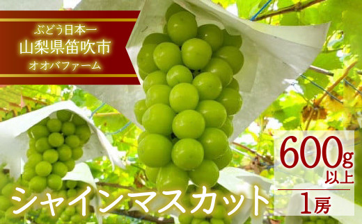 ＜25年発送先行予約＞シャインマスカット 1房 約600g以上 092-001 - 山梨県笛吹市｜ふるさとチョイス - ふるさと納税サイト