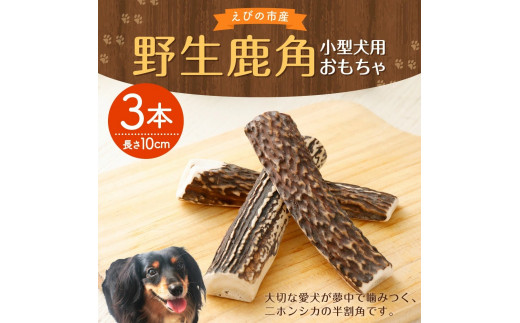 野生鹿角 3本 長さ10cm 幅2～3cm程度 小型犬用 おもちゃ 犬用 鹿の角