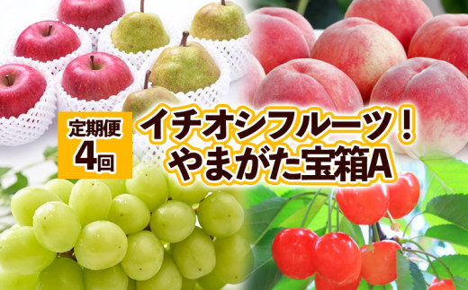 定期便4回】イチオシフルーツ！やまがた宝箱A (2024年～2025年お届け) FZ23-675 - 山形県山形市｜ふるさとチョイス - ふるさと納税 サイト