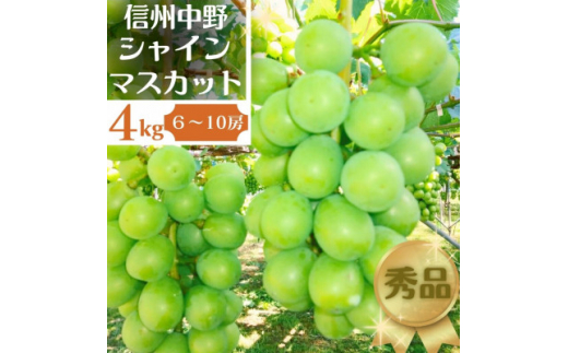 長野県中野市産ぶどう・シャインマスカット秀品4kg箱 6～10房入り_ ブドウ ぶどう 葡萄 フルーツ 果物 くだもの 甘い シャイン マスカット  4kg 人気 秀品 種なし 長野県 信州 中野市 産直 ギフト 贈り物 プレゼント 贈答 【1494262】 - 長野県中野市｜ふるさとチョイス ...