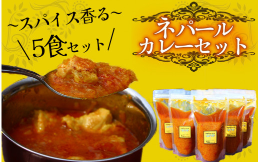 【静岡県南伊豆町】ティハールのネパールカレールーセット 2人分×5袋 【 カレー ネパールカレー カレールー カレーセット 手作り ヴィーガン アレンジ ジャスミン米 スパイス 手づくり セ