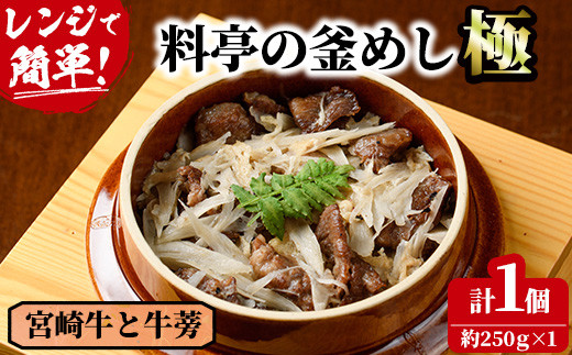 【宮崎県門川町】料亭の釜めし・極<宮崎牛と牛蒡>(250g×1個)釜飯 料亭 惣菜 時短 お取り寄せ グルメ 冷凍 レンジアップ【TW-4】【魚甚閣 常若】