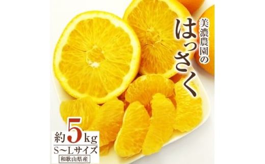 ya̎R{sza̎RY@Z_̂͂ 5kg(ނt)y1272362z