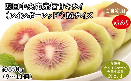 キウイフルーツトレイ 24玉入り 597枚 （キウイの皮、見た目から