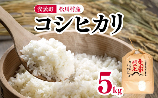 y쌧쑺zyߘa7NxYzRVqJ 5kg 쑺Y | t@[܂    RVqJ Ђ   쌧 쑺 MB