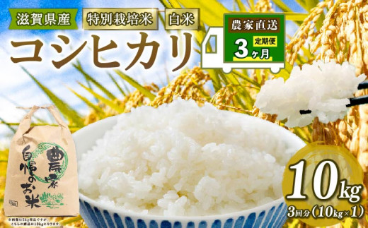 近江のお米 30kg(10kg×3本) 米 近江のお米 30kg(10kg×3本) 米
