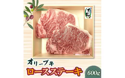 y쌧OLszyӂ邳Ɣ[Łz{C̃I[u[XXe[L600g ̓