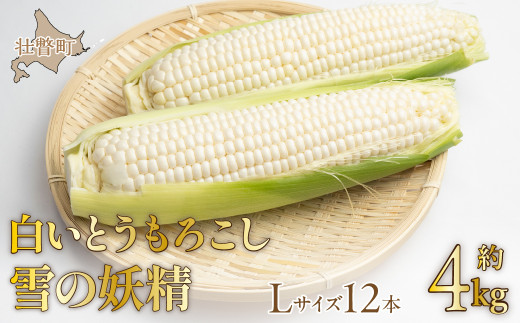 ykCs˒z2026N8{肨͂ŷzkCsˎY Ƃ낱u̗dvLTCY12{(4kg)y ӂ邳Ɣ[ lC  LO zCgR[ ̗d