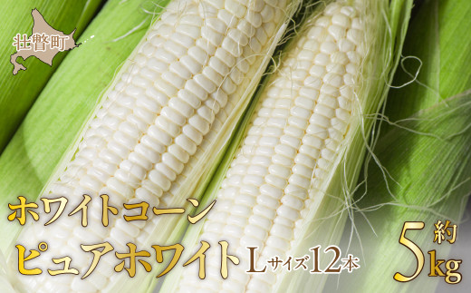 ykCs˒z2026N8{肨͂ŷzkCs˒ zCgR[usAzCgvLTCYȏ12{(5kg)  y ӂ邳Ɣ[ lC  LO zCgR[