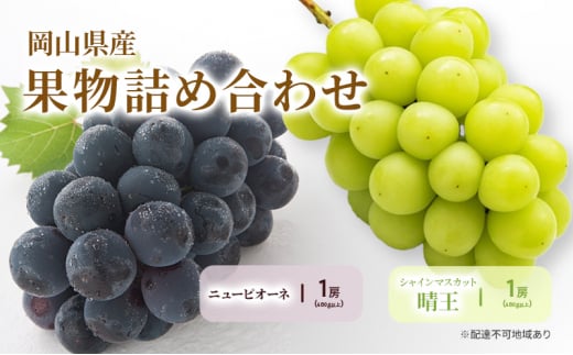 yRʖszԂǂ 2026N s\ l/j[sI[l 1[(480gȏ)EVC}XJbg 1[(480gȏ) ϔ uhE  RY Y t[c ʕ Mtg