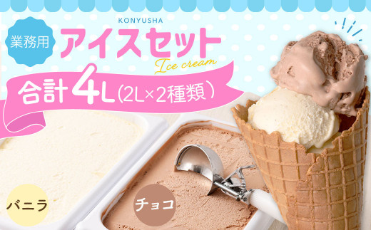 2Lアイス セット (バニラ・チョコ) 合計4L アイス 自家製 業務用 大