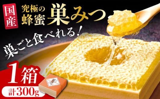 国産巣みつ 300g 蜂蜜 はちみつ ハチミツ コムハニー 極上はちみつ 濃厚ハチミツ 国産蜂蜜 広川町 / 株式会社九州蜂の子本舗  [AFAI004] はちみつ 蜂蜜 ハチミツ - 福岡県広川町｜ふるさとチョイス - ふるさと納税サイト