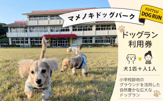 マメノキドッグパーク ドッグラン 利用券（犬1匹＆人1人） - 千葉県富津市｜ふるさとチョイス - ふるさと納税サイト