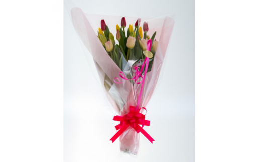 sd1_9e352e22938b9d072d8ce041f5