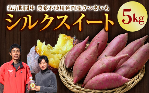 無肥料無農薬シルクスイート11.5kg せんす