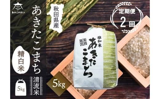 yHcHcszs2t܂  5kgyāz HcsYaY