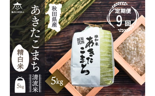 yHcHcszs9t܂  5kgyāz HcsYaY