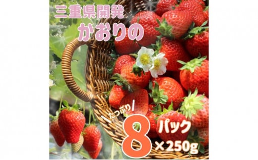 yOdÎszOdY uv 8P [ 250g×8pbN 2kg OdYIWii ʕ t[c  C`S lC ʓ Ö_₩ ]