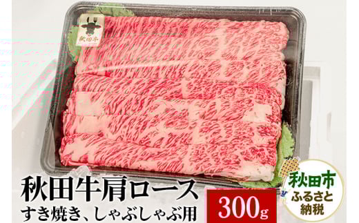 yHcHcszHc [XĂ Ԃԗp 300g×1pbN  Y