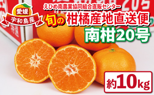 12月上旬~中旬発送予定】 愛媛 みかん 優品 南柑20号 10kg 先行予約 12月上旬~中旬発送予定】 愛媛 みかん 優品 南柑20号 10kg 先行予約