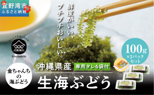 【金ちゃん】クリエイティブメモリーズ製パンチおまかせ10個セット 金ちゃん】クリエイティブメモリーズ製パンチおまかせ10個セット 金